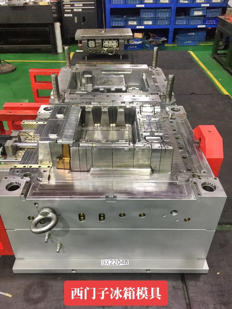 西門(mén)子冰箱模具#模具制造 #精密模具 #注塑成型 #讓技術(shù)更
